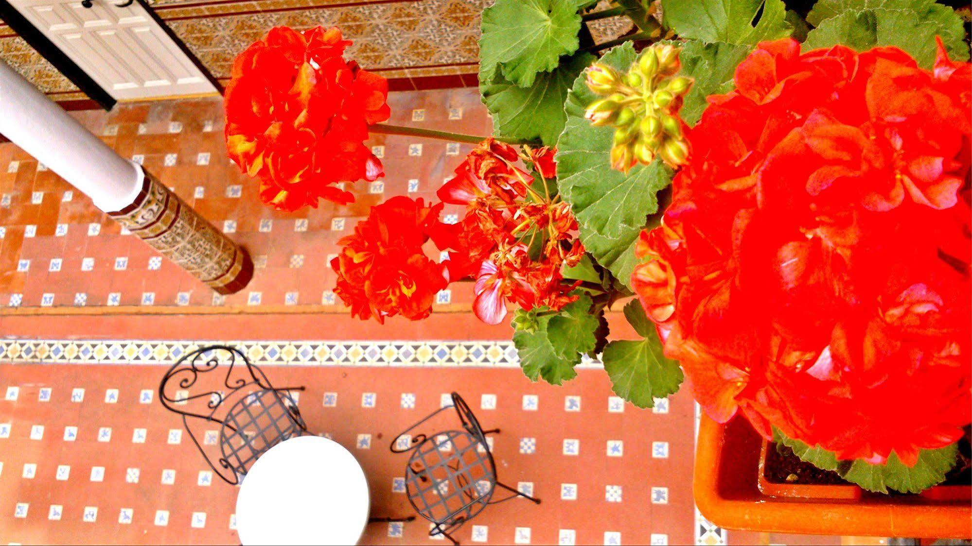 Al Andalus Jerez Hotel Jerez de la Frontera Eksteriør billede